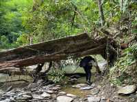 ประสบการณ์การเดินป่าใต้ | ระนอง🌳🏔️