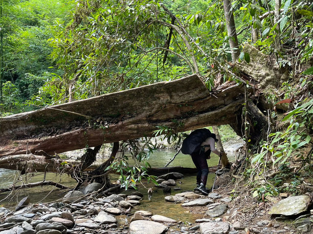 ประสบการณ์การเดินป่าใต้ | ระนอง🌳🏔️