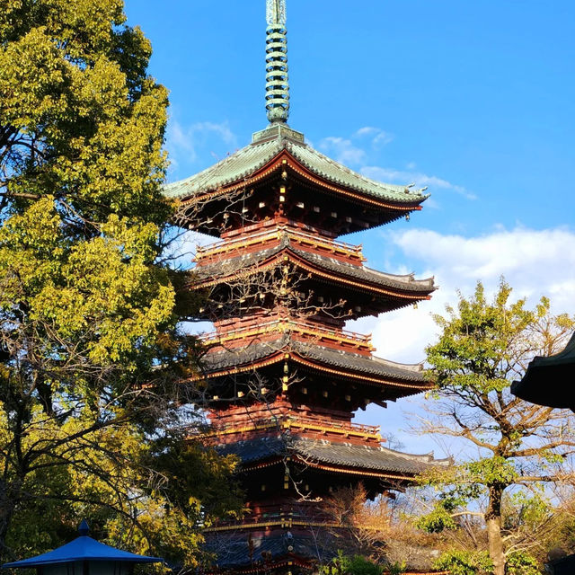 景點推薦：上野東照宮，夏日綠意中的古老神社
