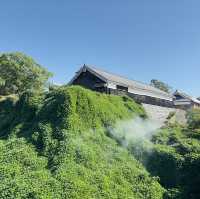 Majestic Views and Timeless Charm: My Adventure at Kumamoto Castle!