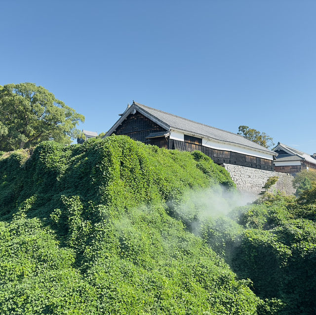 Majestic Views and Timeless Charm: My Adventure at Kumamoto Castle!