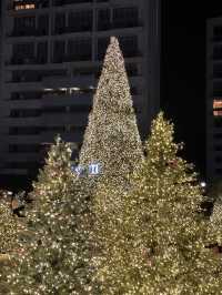 한국 부산🇰🇷 바다와 트리를 한번에 만날 수 있는 ‘빌라쥬 드 아난티🎄‘