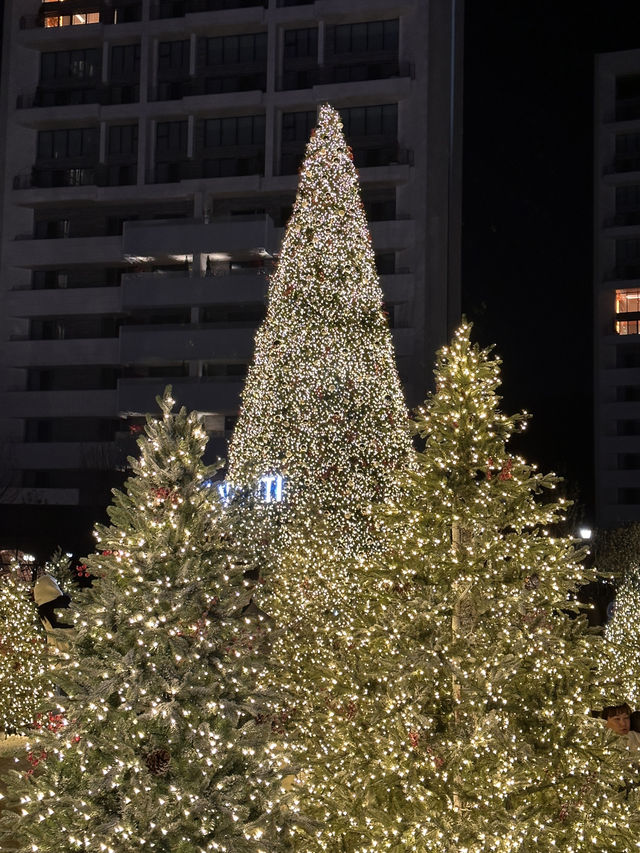 한국 부산🇰🇷 바다와 트리를 한번에 만날 수 있는 ‘빌라쥬 드 아난티🎄‘
