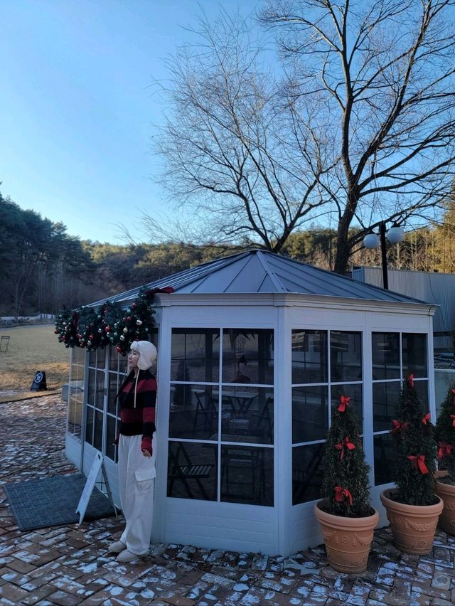 겨울에도 예쁜 봉화 감성카페 비진숲🩵