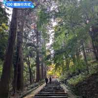 漫步參天杉木的森林參道：仙台名勝瑞鳳殿