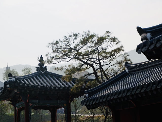 Yongin Dae Jang Geum Park ย้อนเวลาเข้าสู่โลกซีรีส์