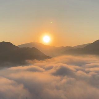 【兵庫縣絕景】竹田城跡的雲海