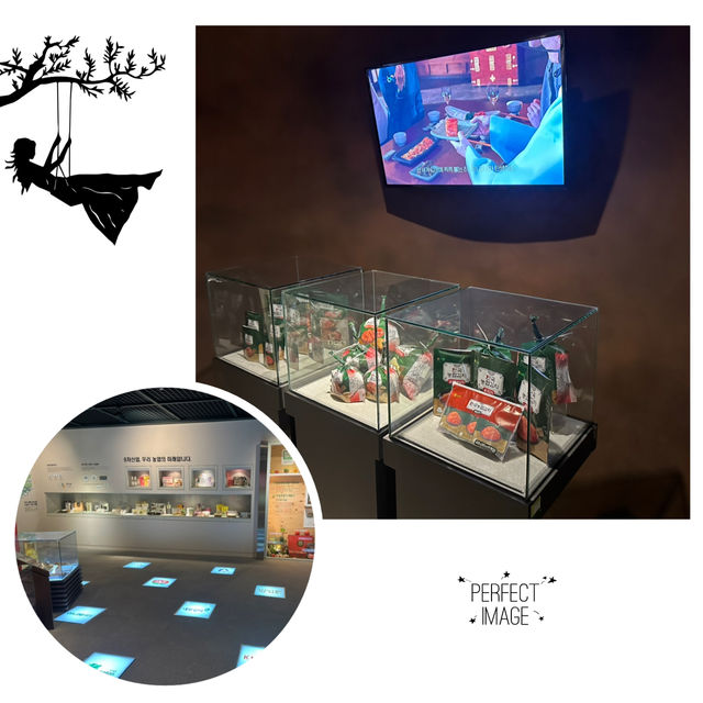 新奇有趣博物館：大米博物館