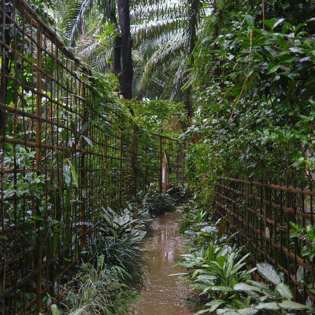Mood ดี บรรยากาศสุดใจฟู 🏠🌴🍃