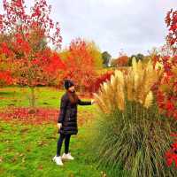 Leeds Castle 利茲城堡