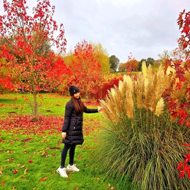Leeds Castle 利茲城堡