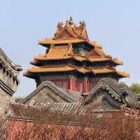 A Walk Through Imperial Majesty: The Palace Museum Experience