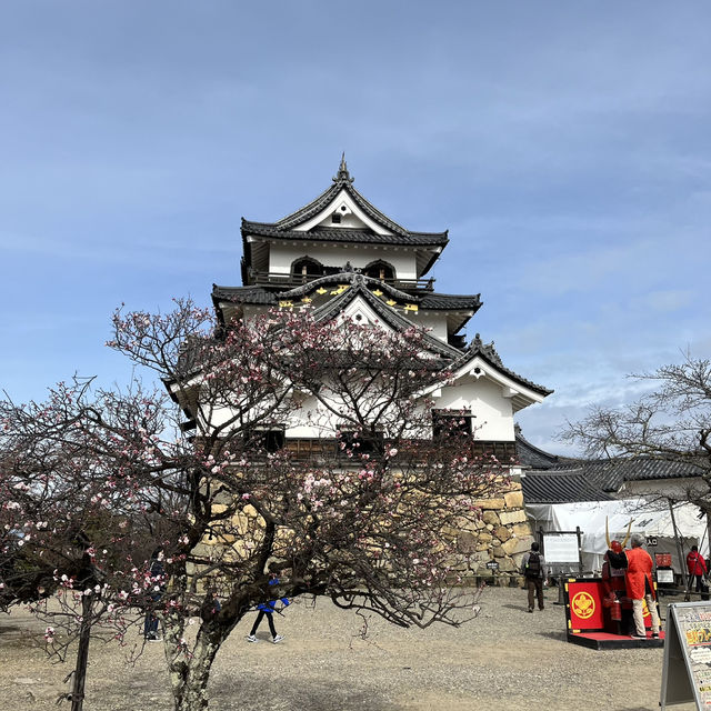 国宝【彦根城🏯】