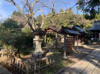 仙台観光　青葉神社