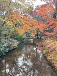 【湯布院】感動！亀の井別荘の素晴らしい紅葉✨