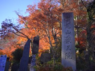 【東京都內的紅葉】現在正是最佳觀賞期！來高尾山散步賞楓吧