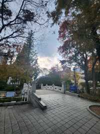 은행잎 가득히 떨어져 가을느낌 가득한 감영공원🌳
