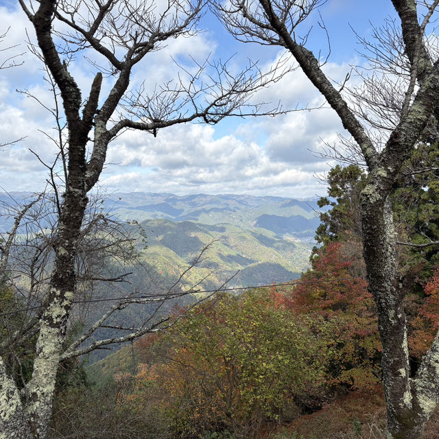 為了一眼京都的楓紅，我爬上了比叡山