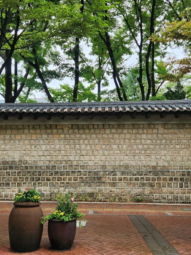 함께 걸으면 없던 로맨스도 생긴다는 덕수궁 돌담길🚶🏻‍♀️🚶