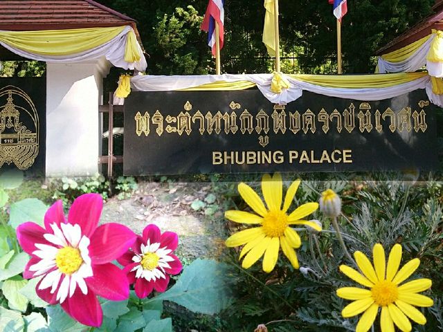 สวนดอกไม้..พระตำหนักภูพิงค์