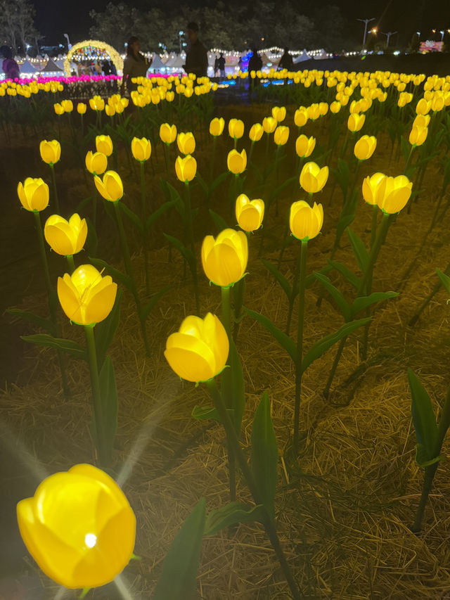 Light in the Garden แสงในสวนสวยครั้งแรกจันทบุรี