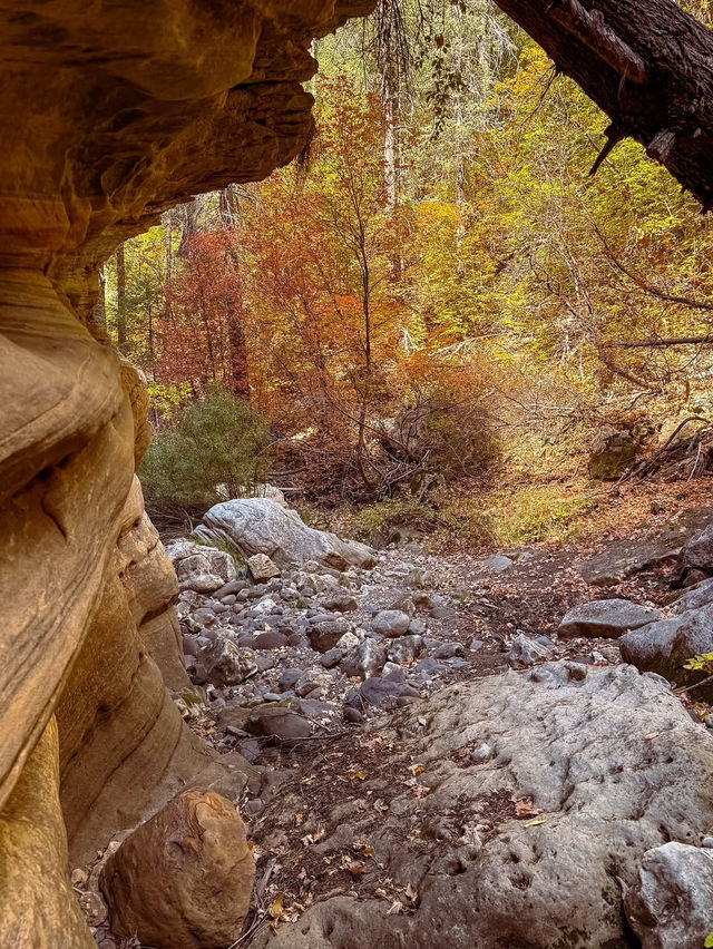 A Day of Canyon Climbing in Arizona