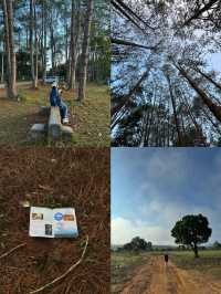ทุ่งแสลงหลวง | จ.เพชรบูรณ์ 🏕️🌿🦌✨