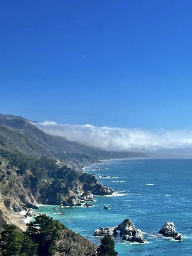 Falling for the Charm of San Francisco