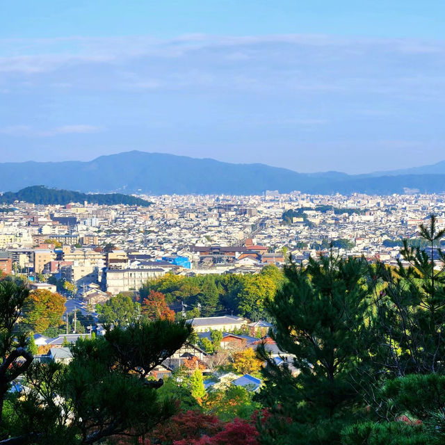 泉岳寺🪻靜謐的禪意