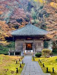 仙台松島円通院⛩️，靜謐的寺庙與美麗庭園