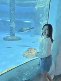 今次去海洋公園5️⃣個難忘點🐬