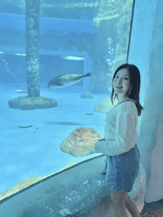 今次去海洋公園5️⃣個難忘點🐬