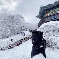 Winter Wonderland: Hiking Hallasan in Jeju’s Snowy Embrace