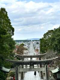 CMで話題となった光の道  3つの日本一がある神社