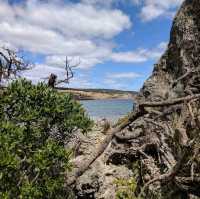 Stokes Bay, Kangaroo Island