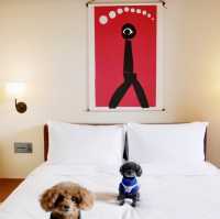 【愛犬と京都旅行】エースホテルにわんこと宿泊
