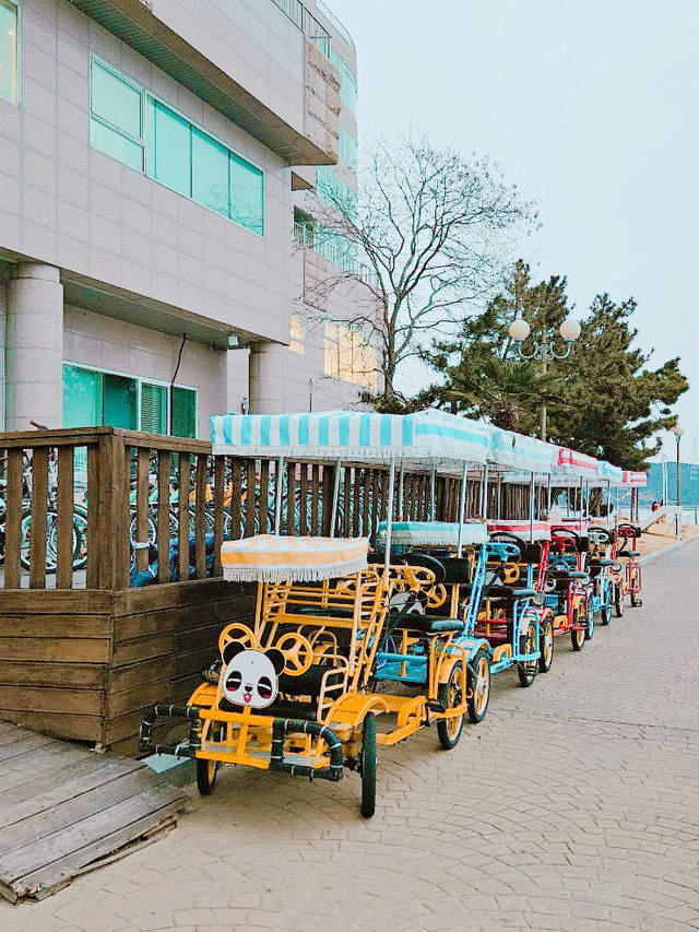 겨울 국내 여행지와 리조트 추천🇰🇷