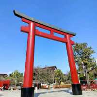 Hinoki Land