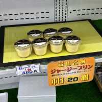 🇯🇵【岡山県】蒜山高原サービスエリアで休憩！(^^)