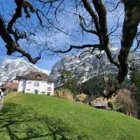 Grindelwald Switzerland