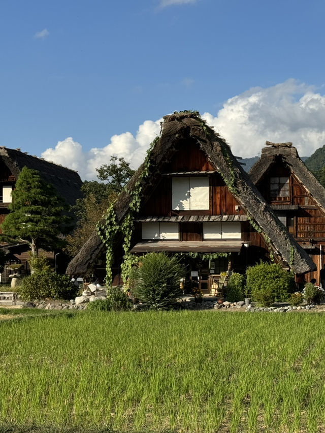 夢想の白川鄉 夢想の白川鄉