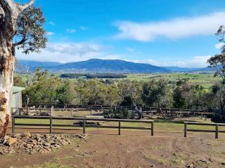 Bonorong 야생동물 보호구역
