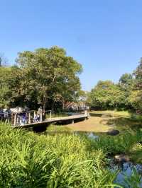 🥰❤️沉浸於大自然～香港必去濕地公園🏞️🌳