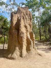 Nature’s Playground: A Memorable Visit to Litchfield National Park
