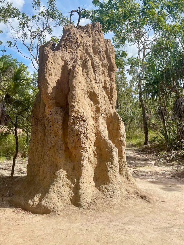 Nature’s Playground: A Memorable Visit to Litchfield National Park