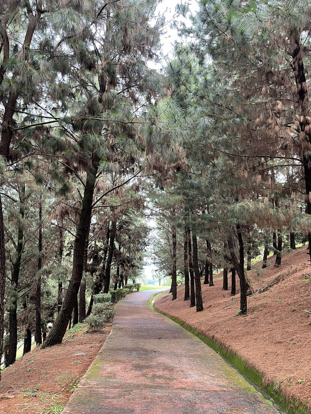 Taman Saujana Hijau: A Tranquil Escape Amidst Nature’s Beauty 🌳🌺