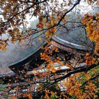 Discovering Tranquility at Takaosan Yakuōin Yukiji Temple