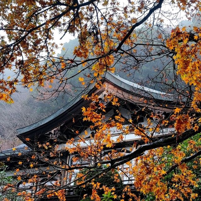 Discovering Tranquility at Takaosan Yakuōin Yukiji Temple
