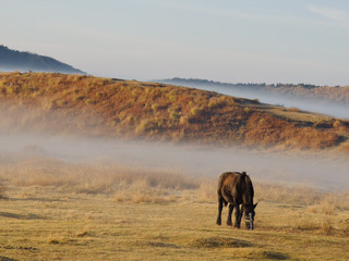 Dawn in Aso, Kumamoto