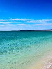 夢幻般的貝殼海灘 Shell Beach ⋯西澳洲必去景點 ☀️
